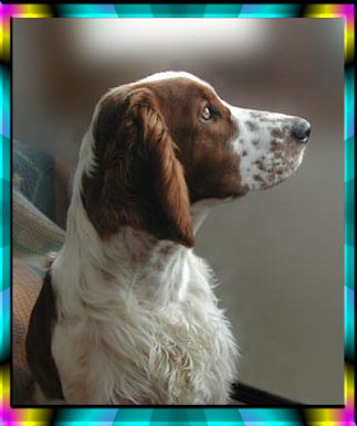 Boozer at 1 year