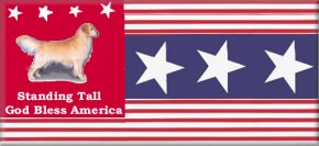 Morningsage Flag design